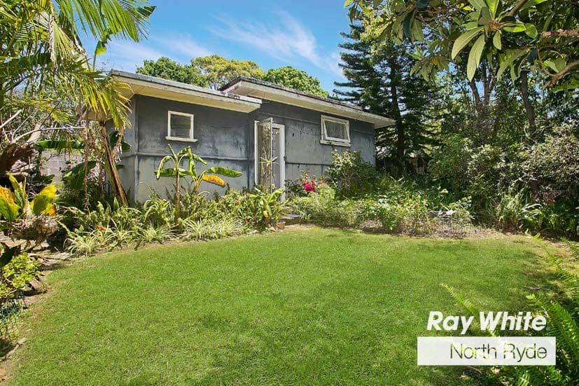 19 Fox Road, East Ryde NSW 2113, East Ryde - Thumbnail 4