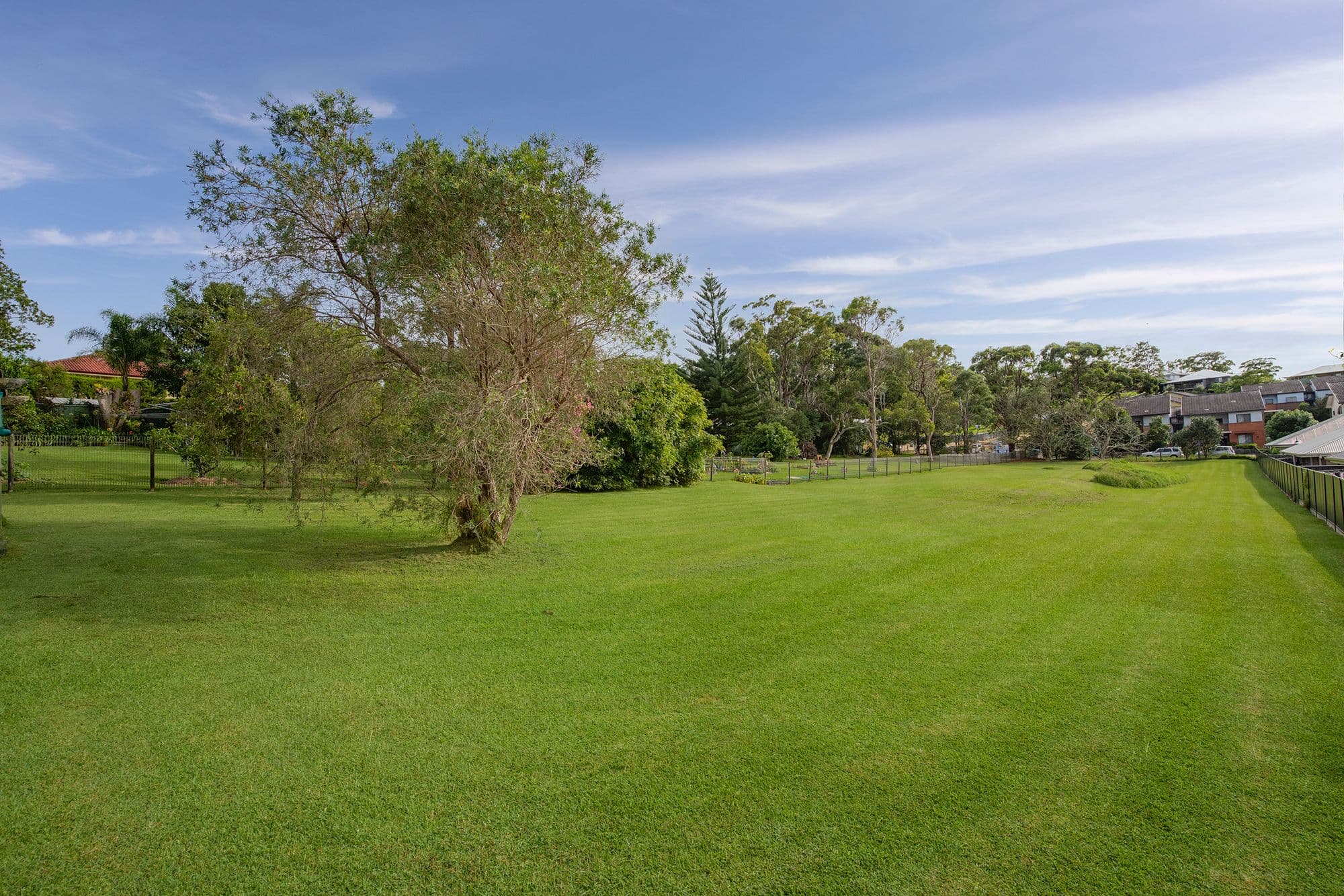 34 Tennent Road, Mount Hutton NSW 2290, Mount Hutton - Thumbnail 3