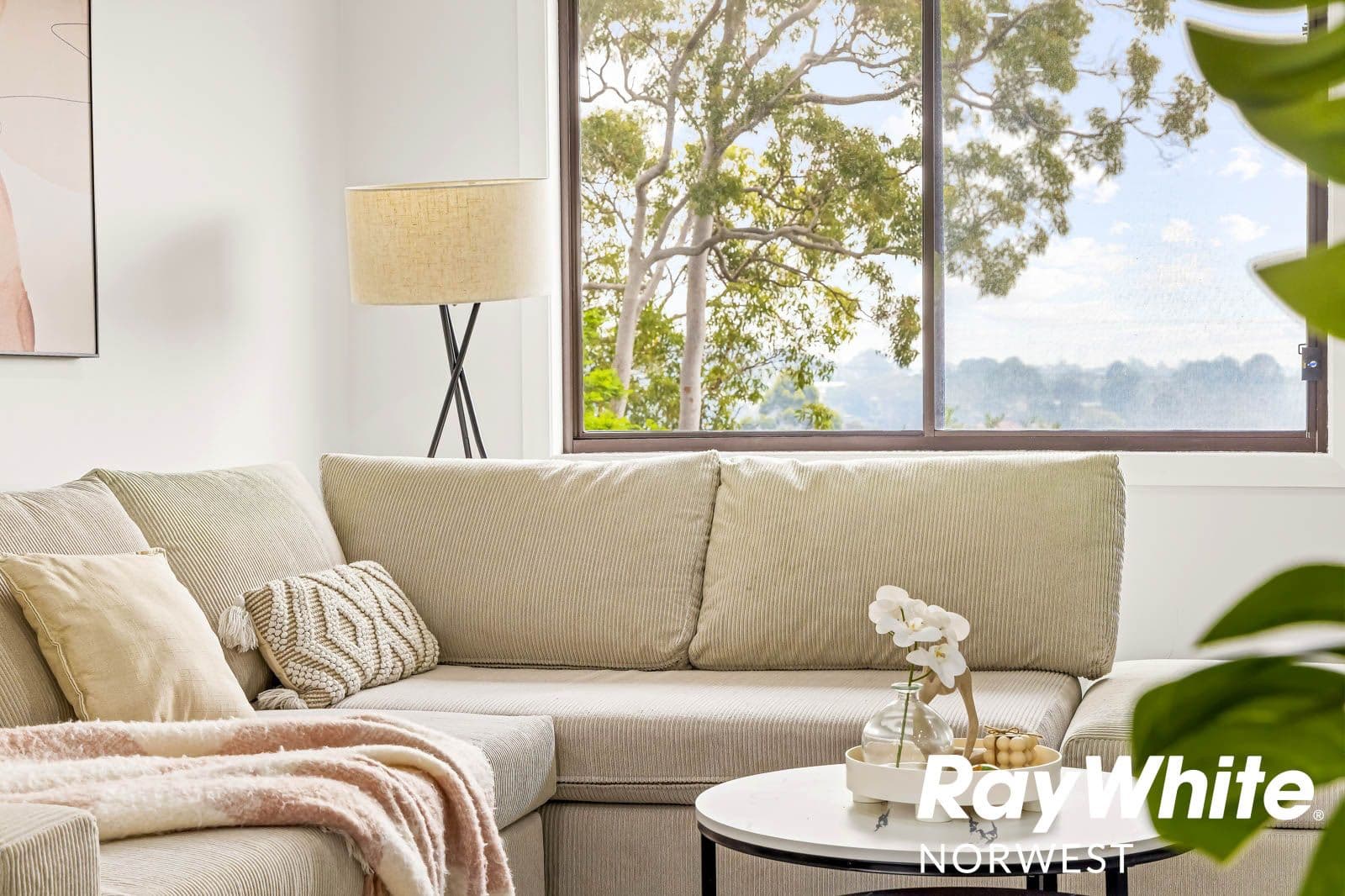 487 The Boulevarde, Kirrawee NSW 2232, Kirrawee - Thumbnail 8