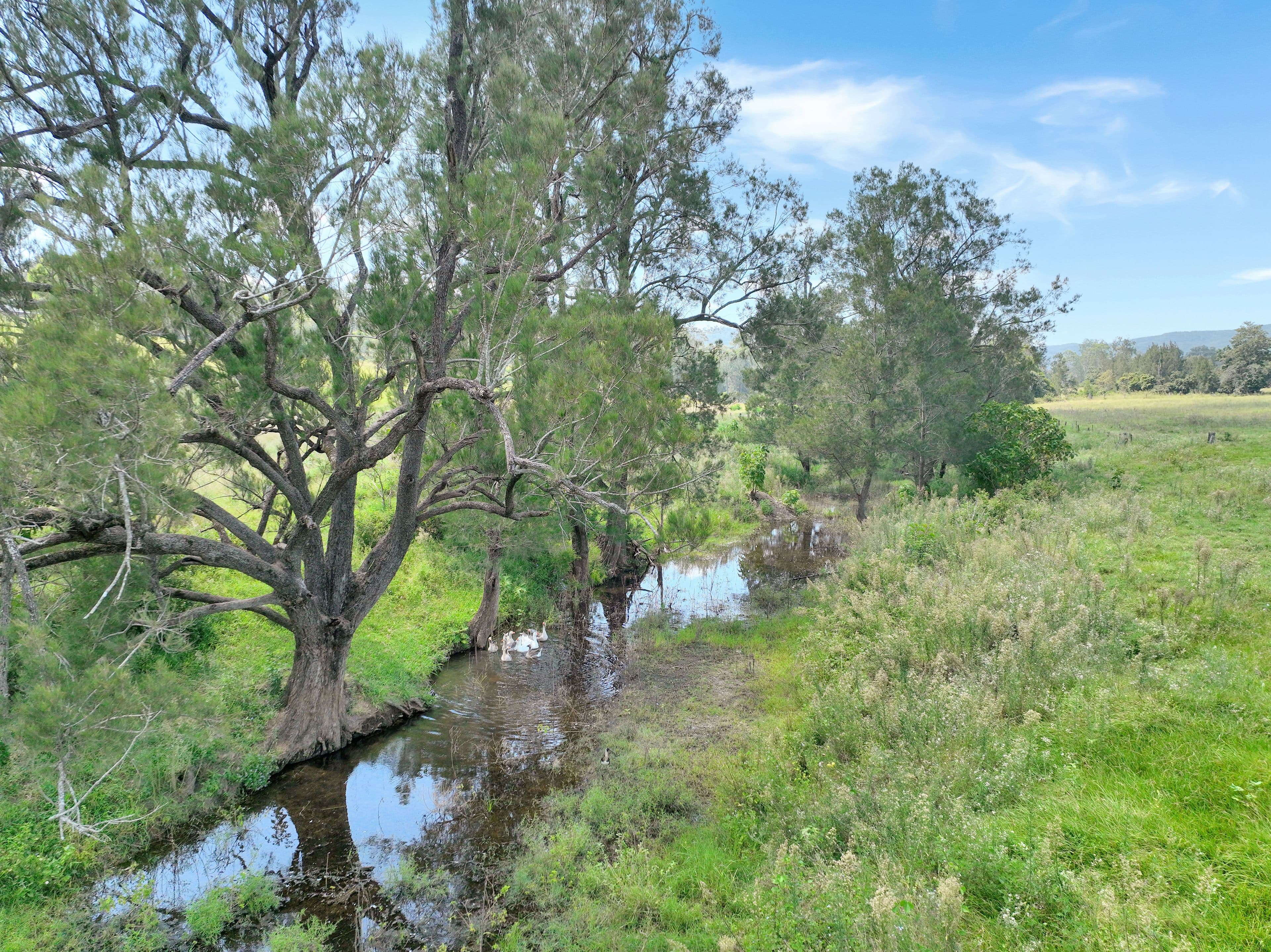 1714 Wivenhoe - Somerset Road, Dundas QLD 4306, Dundas - Thumbnail 4