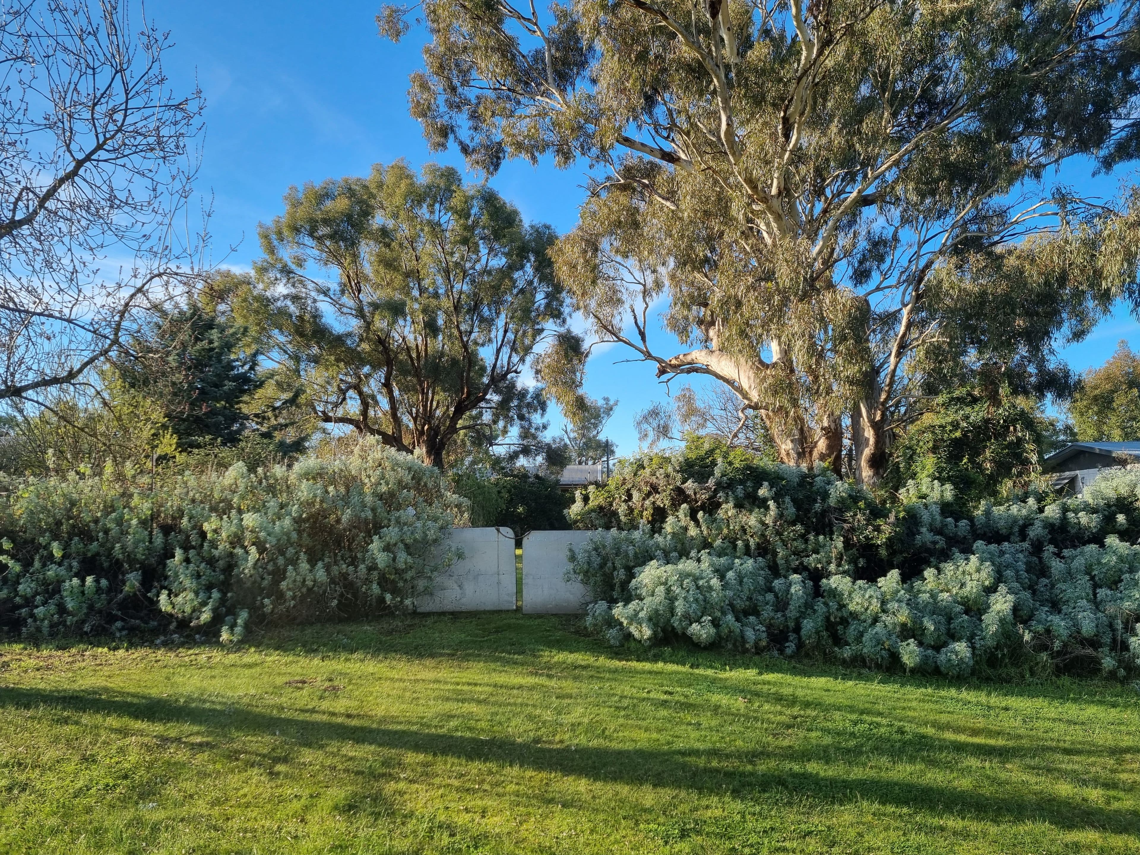 2160 Nangus Road, Nangus NSW 2722, Nangus - Thumbnail 2