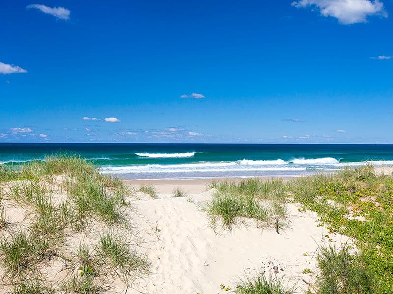 30 Plover Street, PEREGIAN BEACH QLD 4573, Peregian Beach - Thumbnail 3