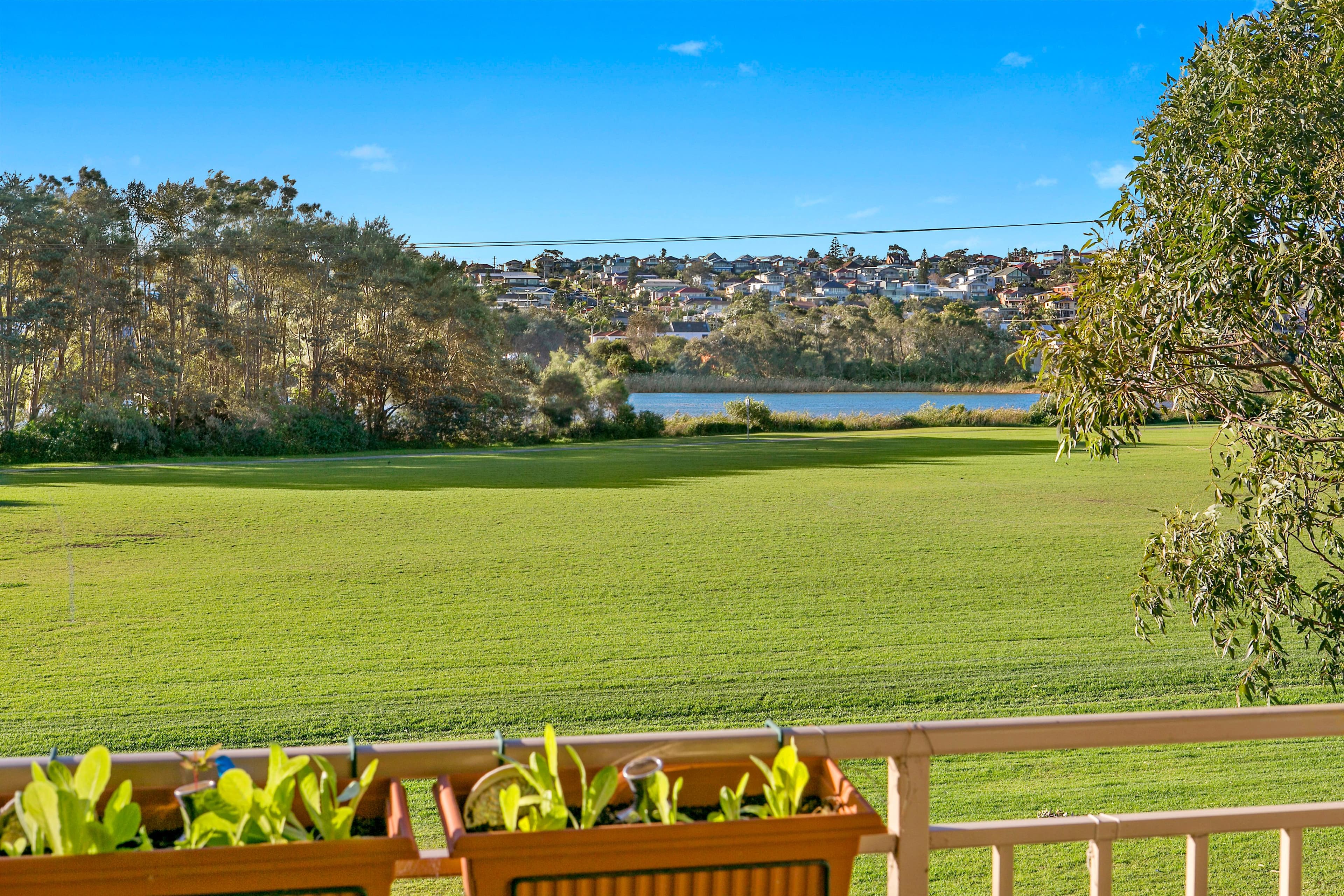 43 Adams Street, Curl Curl NSW 2096, Curl Curl - Thumbnail 6