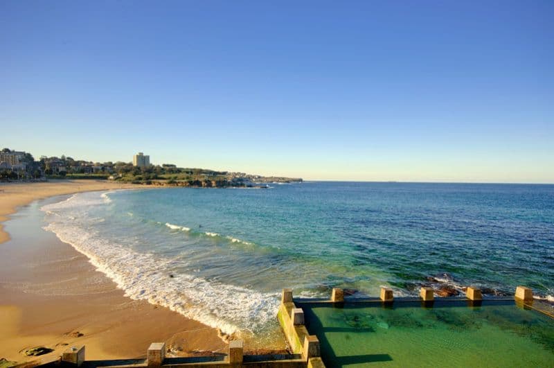 115 Mount Street, COOGEE NSW 2034, Coogee - Thumbnail 5