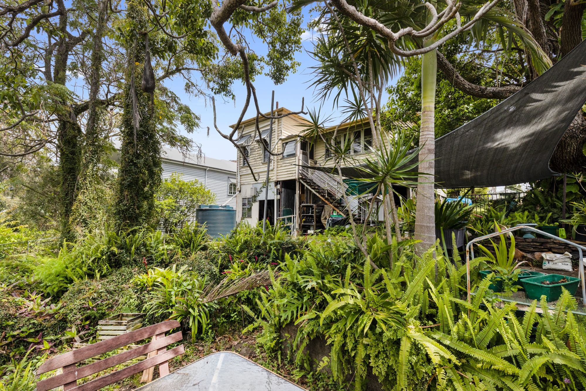33 Crowther Street, Windsor QLD 4030, Windsor - Thumbnail 2
