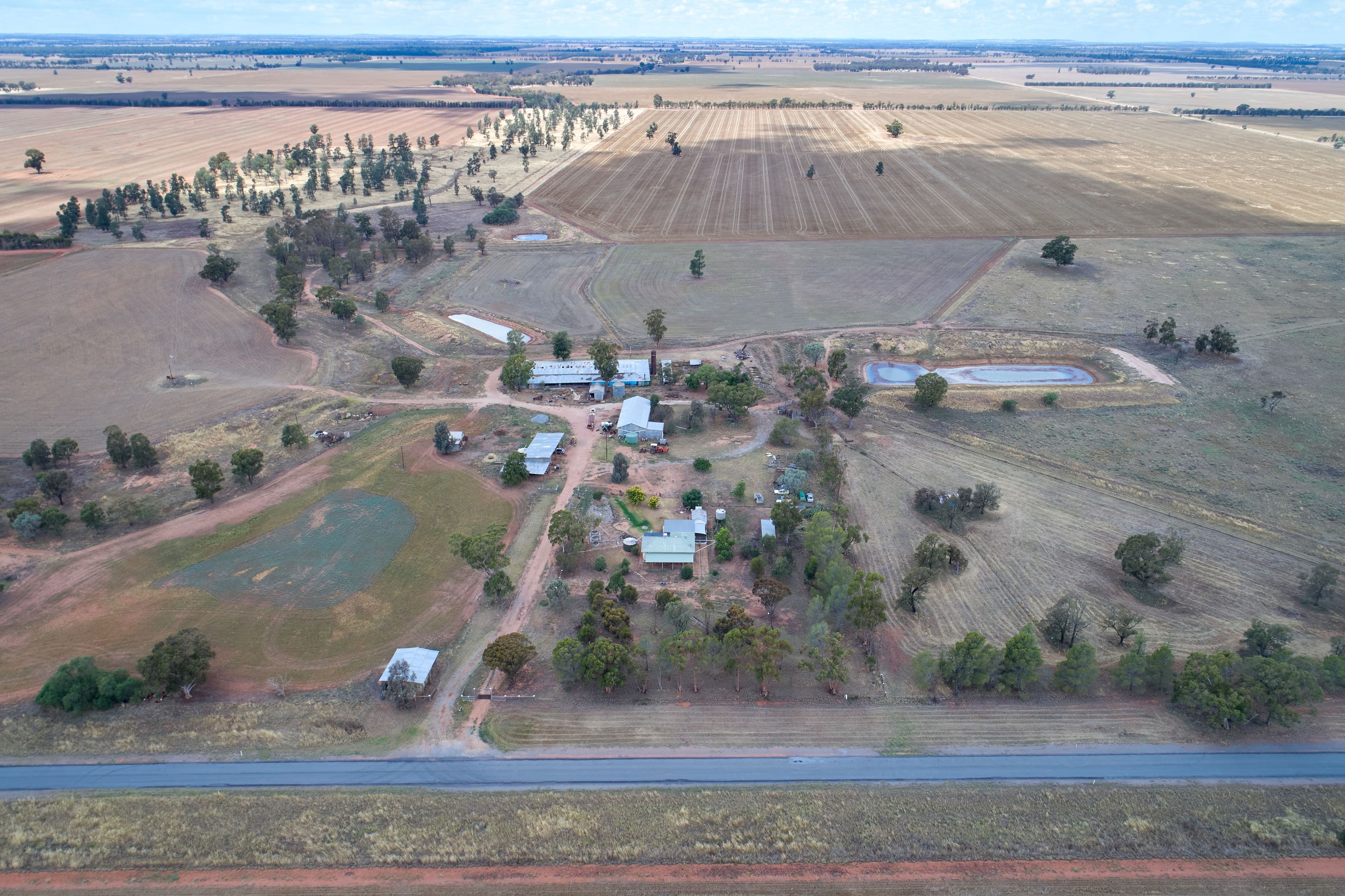342 Matong North Road, Matong NSW 2652, Matong - Image 1