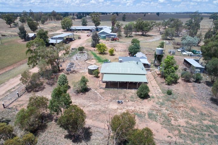 342 Matong North Road, Matong NSW 2652, Matong - Thumbnail 2