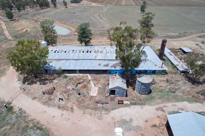 342 Matong North Road, Matong NSW 2652, Matong - Thumbnail 8