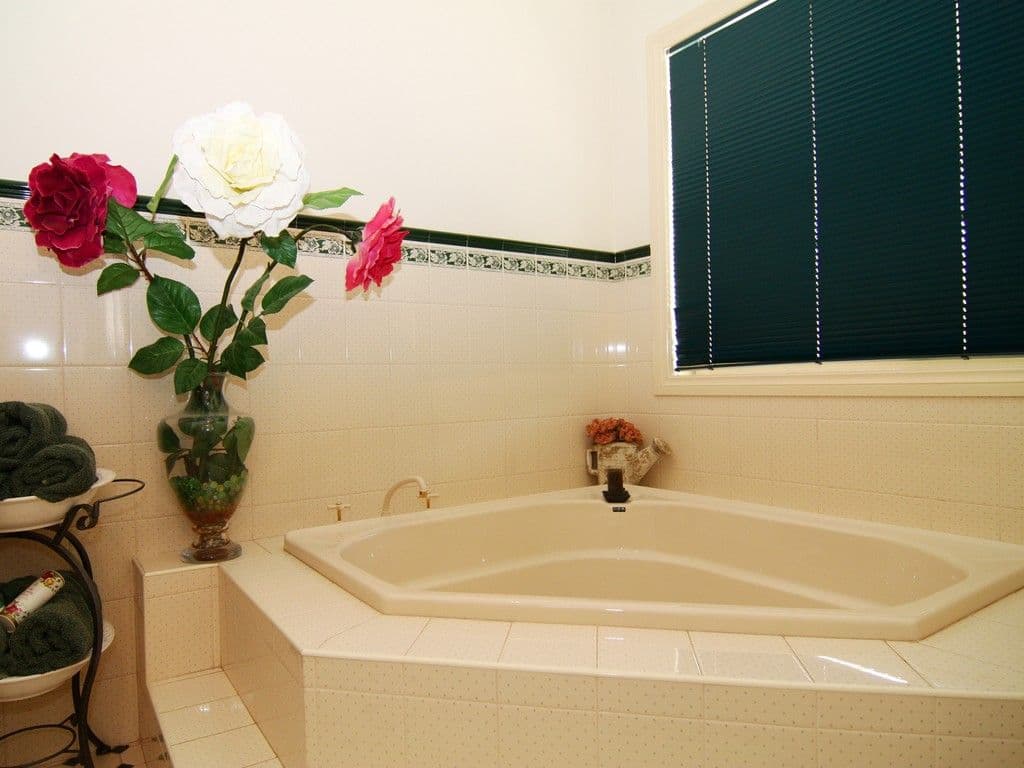 53 Chaffey Street, Renmark SA 5341, Renmark North - Thumbnail 6