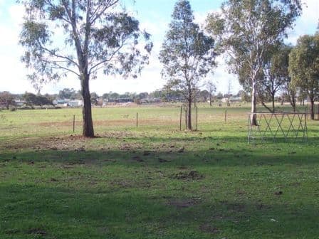 2 Cemetery Lane, COROWA NSW 2646, Corowa - Thumbnail 2