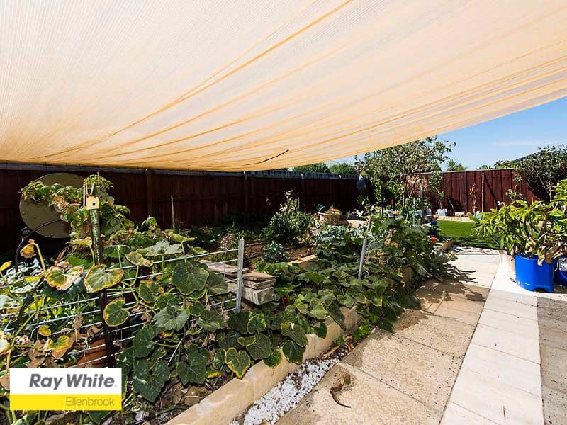 3 Thetis Terrace, Ellenbrook WA 6069, Ellenbrook - Thumbnail 5