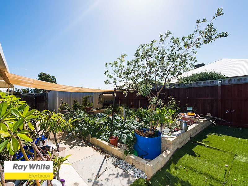 3 Thetis Terrace, Ellenbrook WA 6069, Ellenbrook - Thumbnail 8
