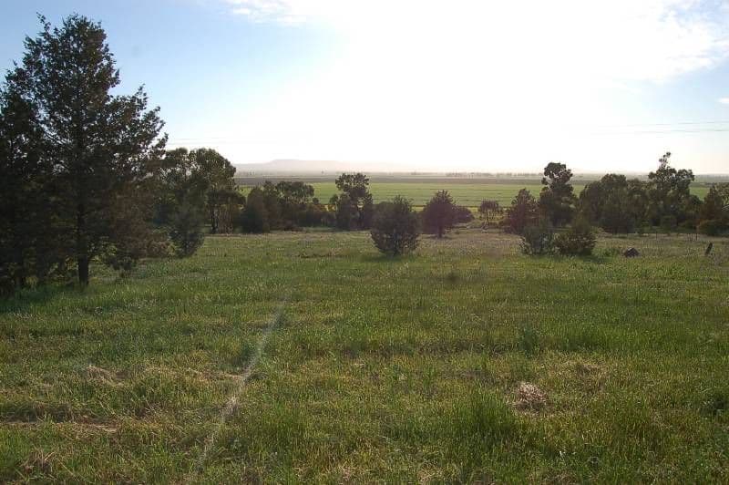 Myall Park NSW 2681, Myall Park - Thumbnail 2