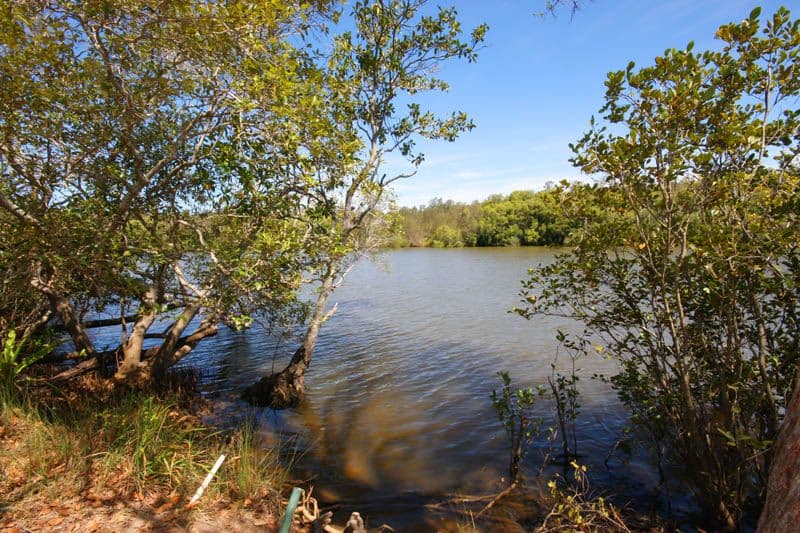 22 Bahdilli Crescent, DIDDILLIBAH QLD 4559, Diddillibah - Image 1