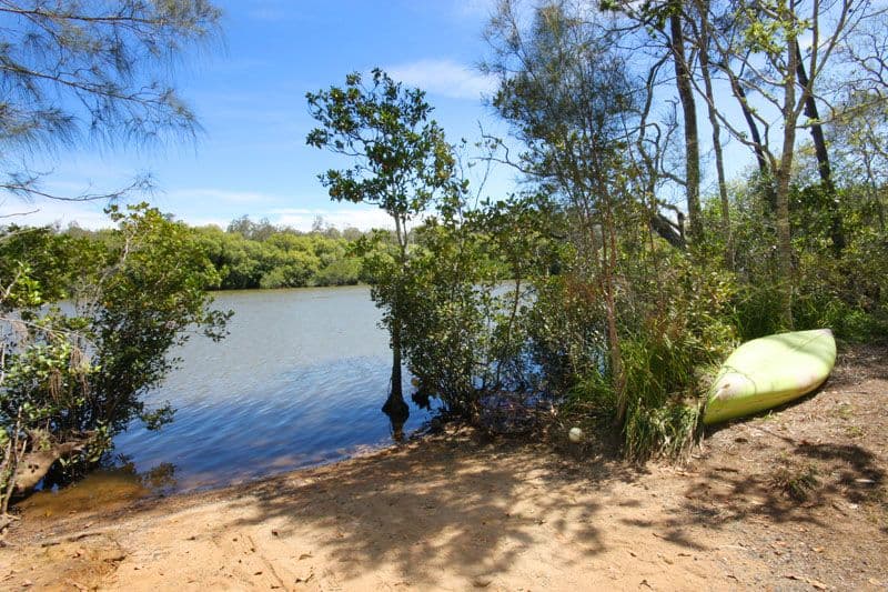 22 Bahdilli Crescent, DIDDILLIBAH QLD 4559, Diddillibah - Thumbnail 5