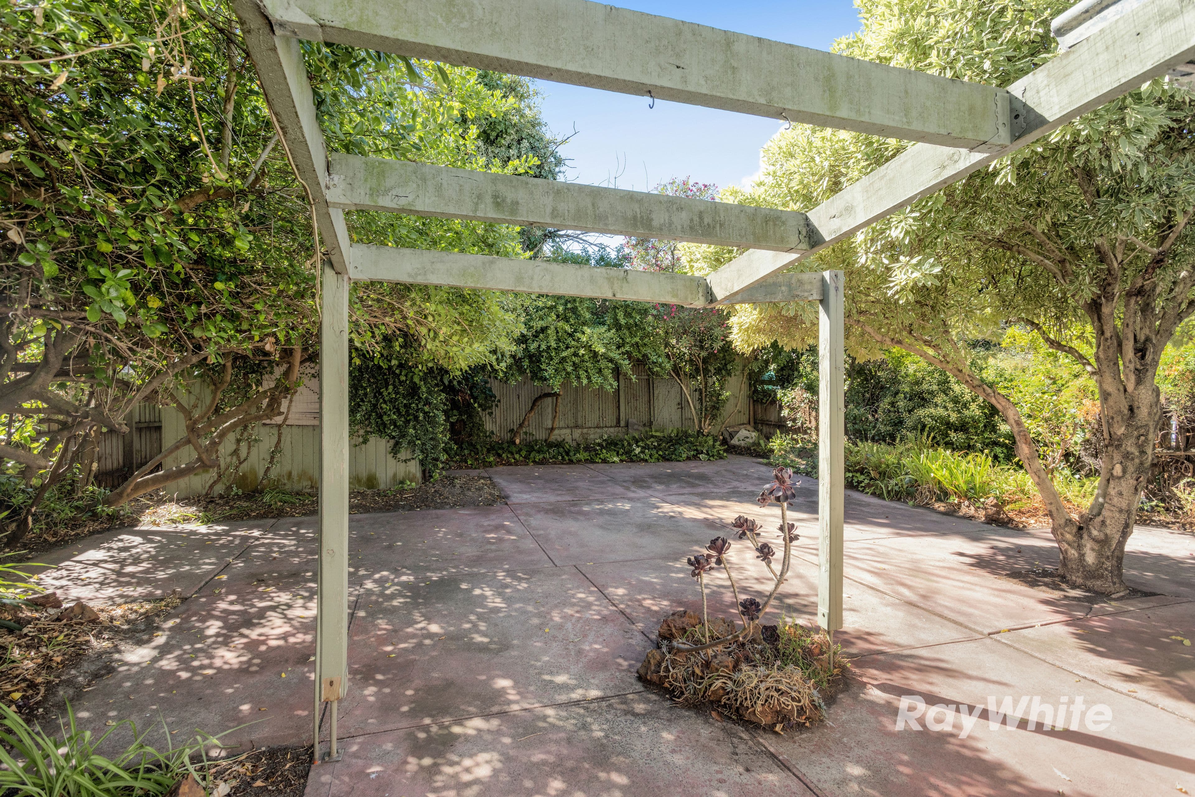 39 Hartington Street, Elsternwick VIC 3185, Elsternwick - Thumbnail 7