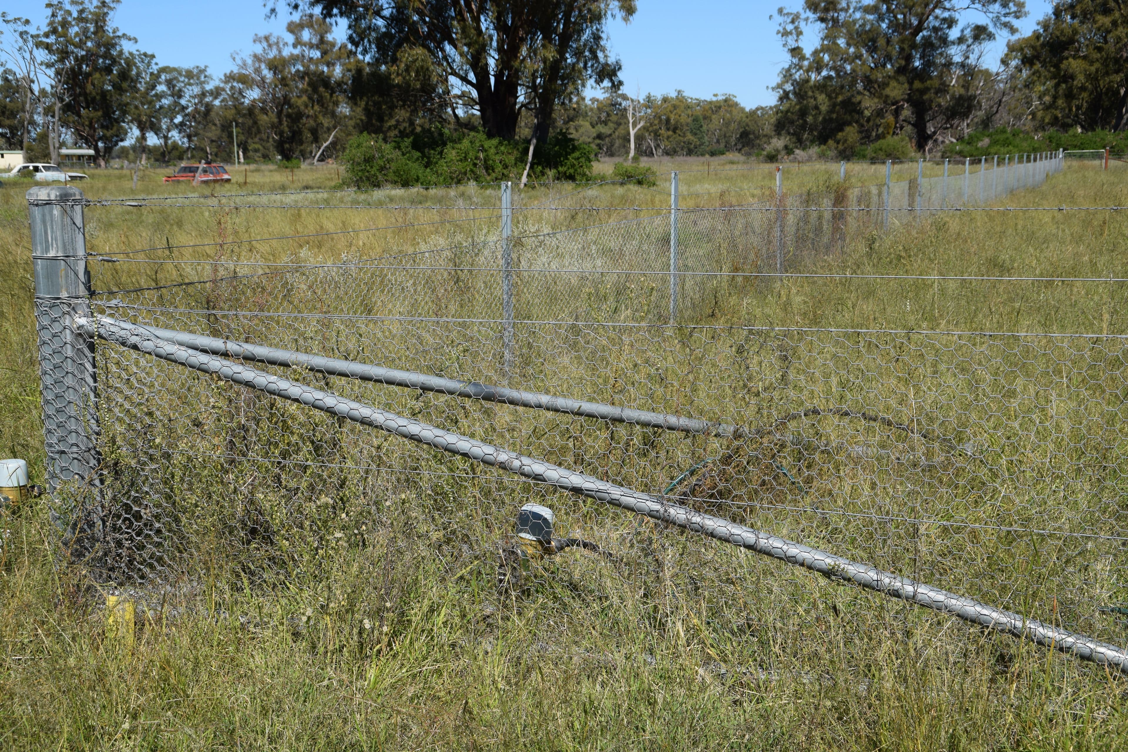 14 Moonul Street, EUMUNGERIE NSW 2822, Eumungerie - Thumbnail 5