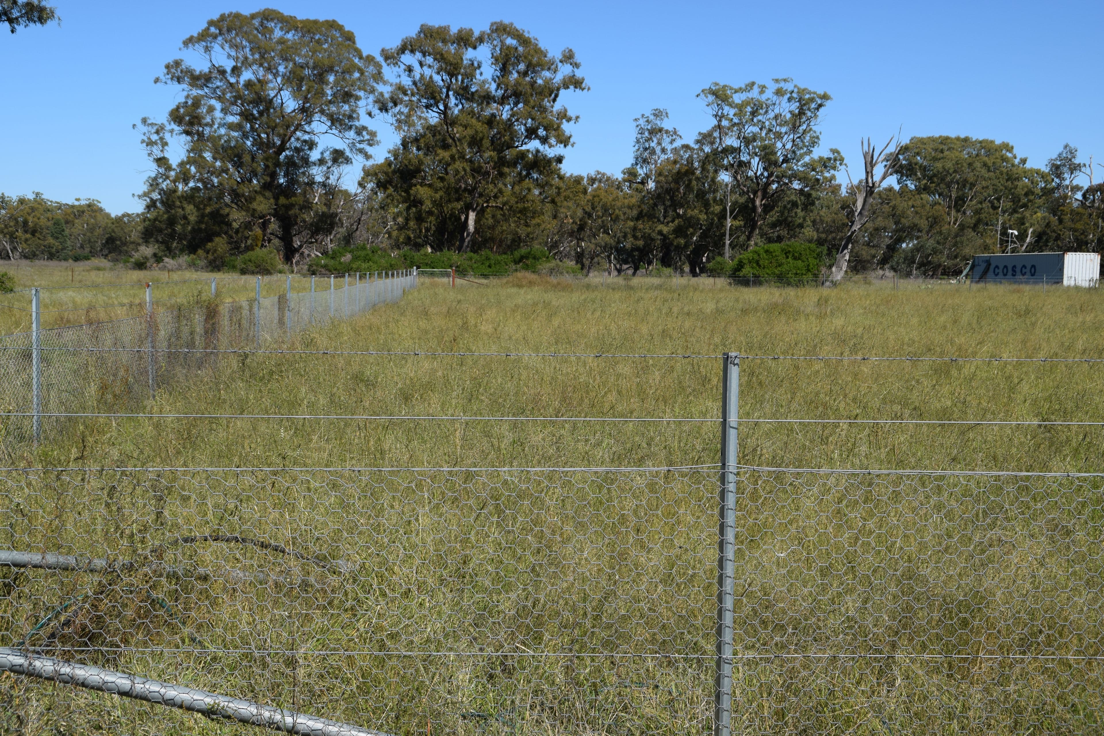 14 Moonul Street, EUMUNGERIE NSW 2822, Eumungerie - Thumbnail 6