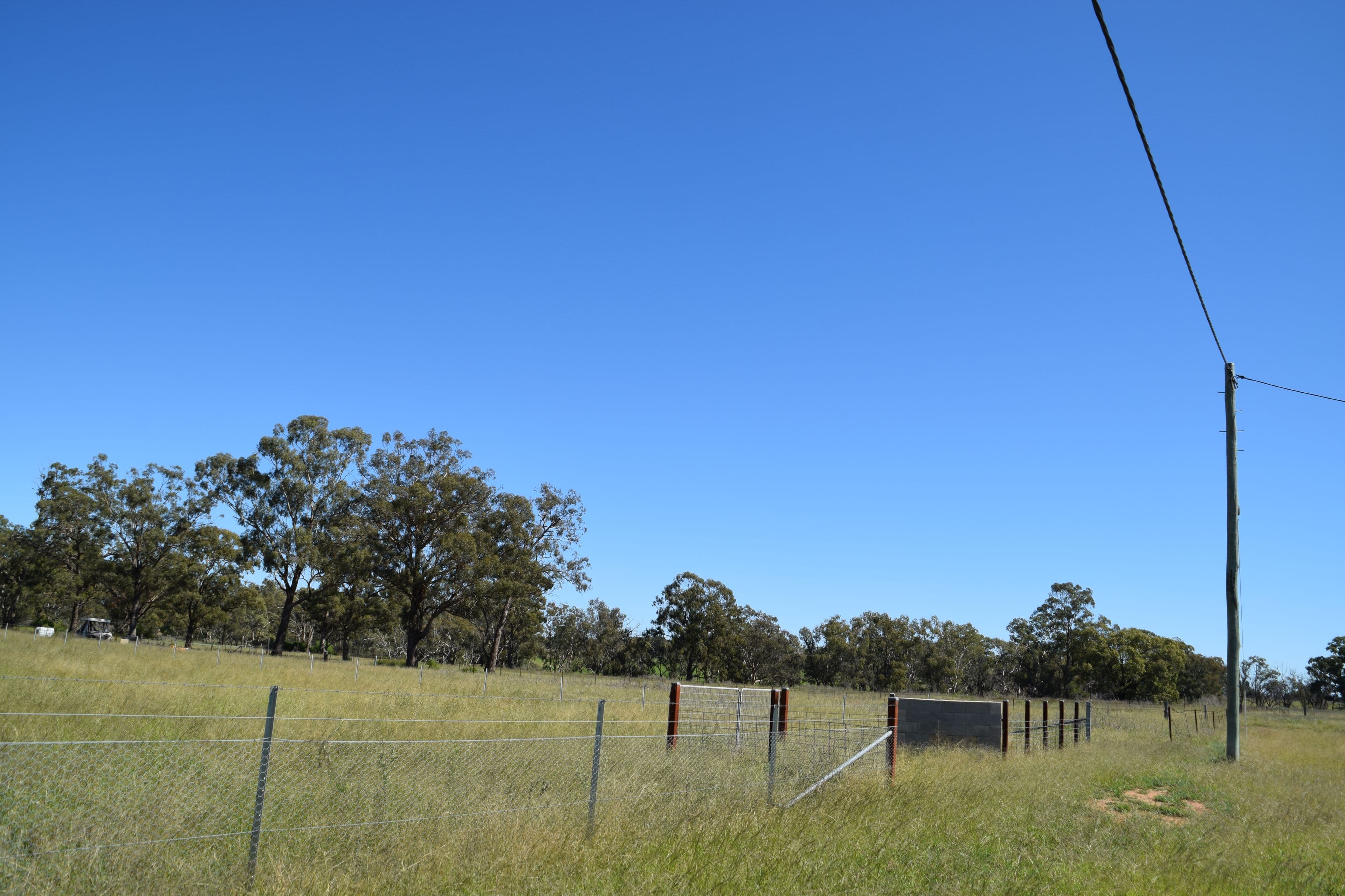 14 Moonul Street, EUMUNGERIE NSW 2822, Eumungerie - Thumbnail 7
