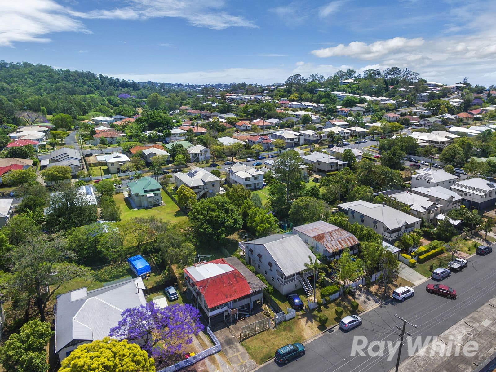 71 Farrington Street, Alderley QLD 4051, Alderley - Thumbnail 2