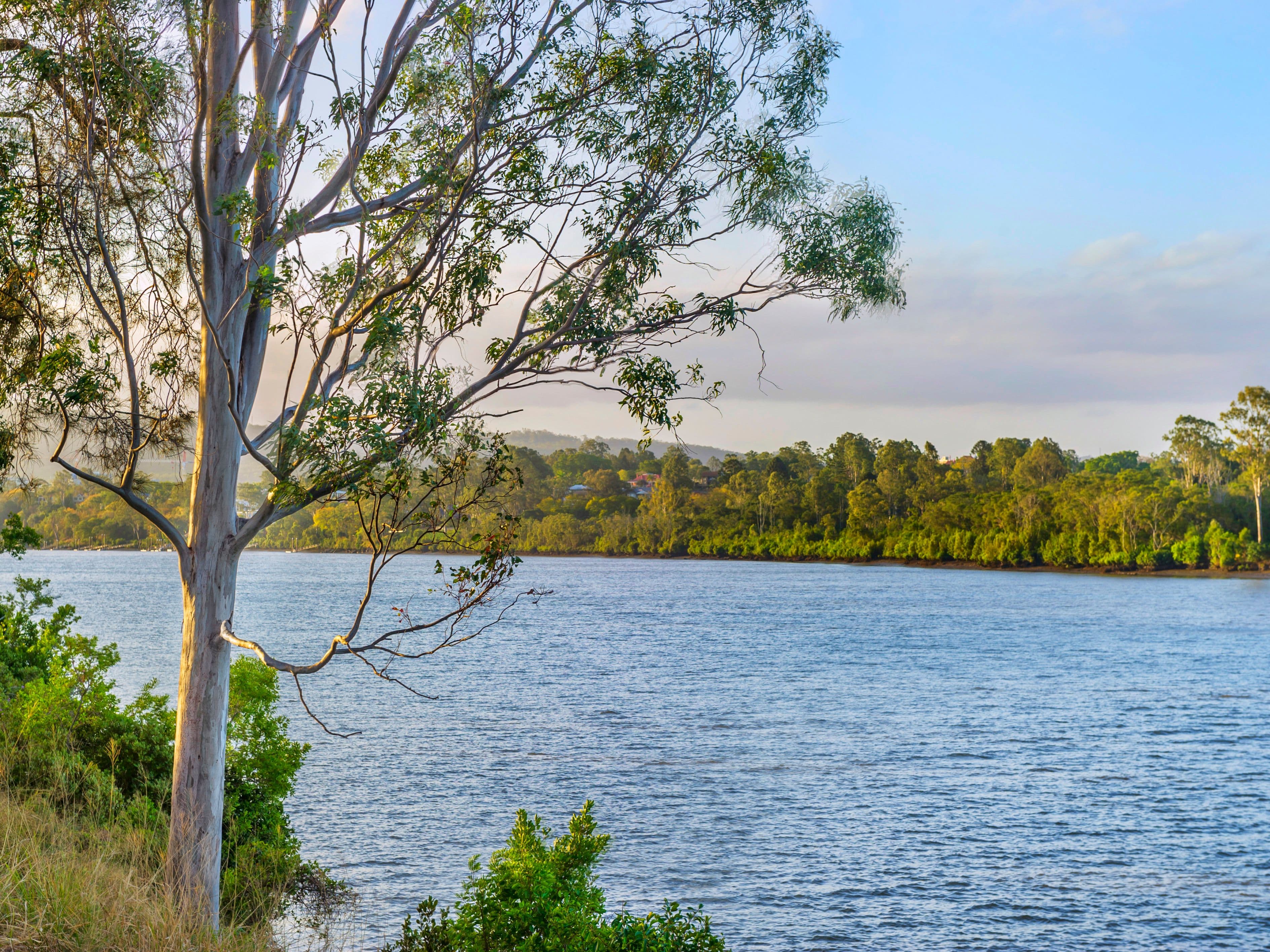 39 Nadine Street, Graceville QLD 4075, Graceville - Thumbnail 3