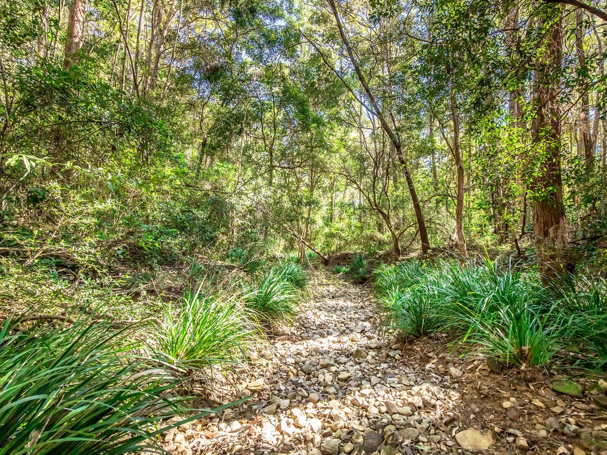 613 Maudsland Road, Maudsland QLD 4210, Maudsland - Thumbnail 6