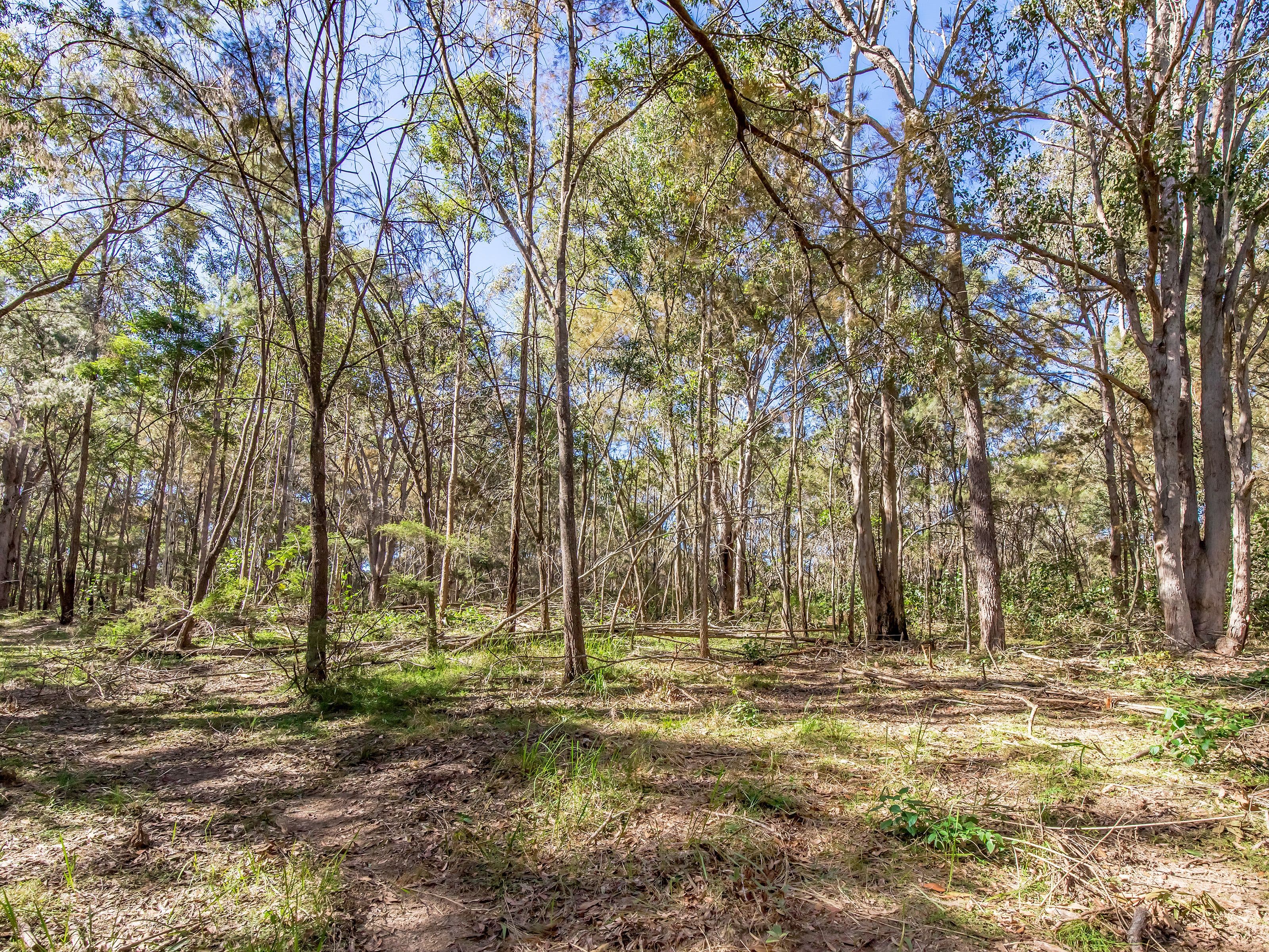 613 Maudsland Road, Maudsland QLD 4210, Maudsland - Thumbnail 7