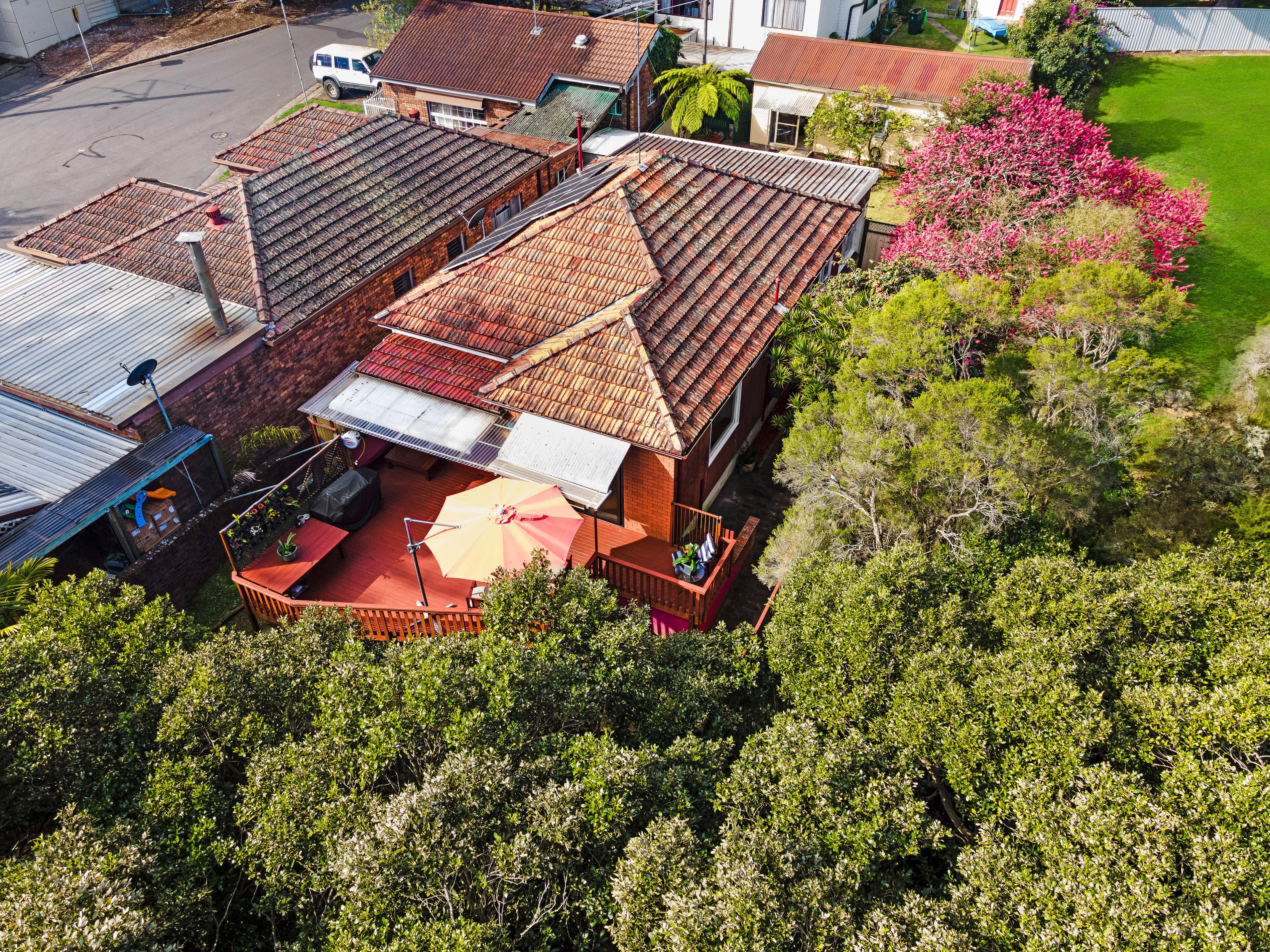 93 Webb Street, Riverwood NSW 2210, Riverwood - Thumbnail 2