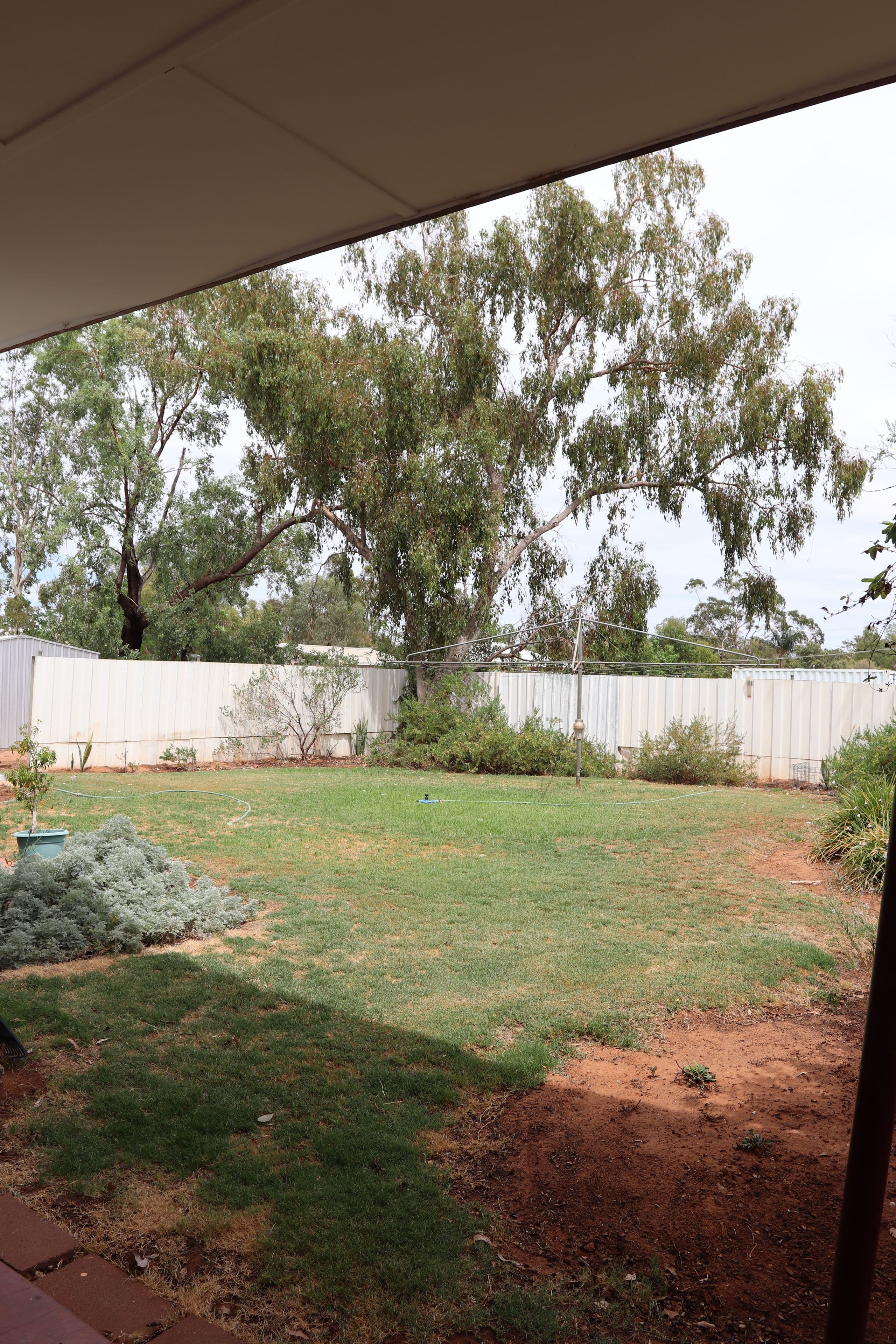 203 King Street, Charleville QLD 4470, Charleville - Thumbnail 6
