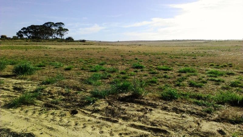 Lot 320 Ocean Farm Drive, LANCELIN WA 6044, Lancelin - Image 1