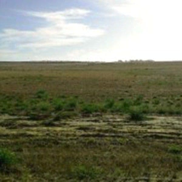 Lot 320 Ocean Farm Drive, LANCELIN WA 6044, Lancelin - Thumbnail 3