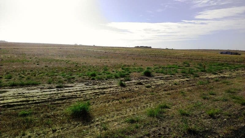 Lot 320 Ocean Farm Drive, LANCELIN WA 6044, Lancelin - Thumbnail 4