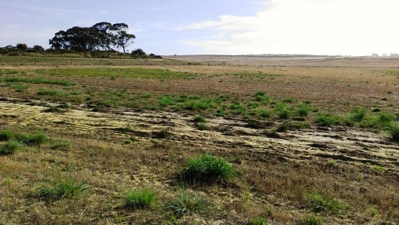 Lot 320 Ocean Farm Drive, LANCELIN WA 6044, Lancelin - Thumbnail 6