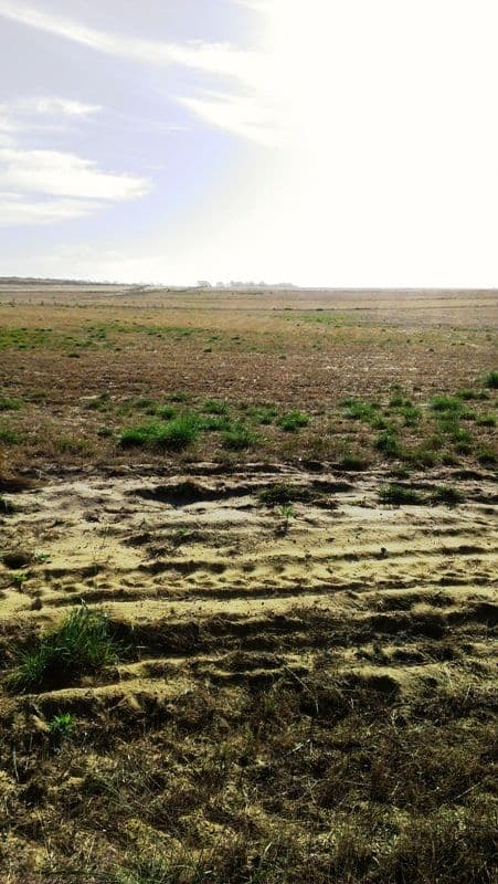 Lot 320 Ocean Farm Drive, LANCELIN WA 6044, Lancelin - Thumbnail 7