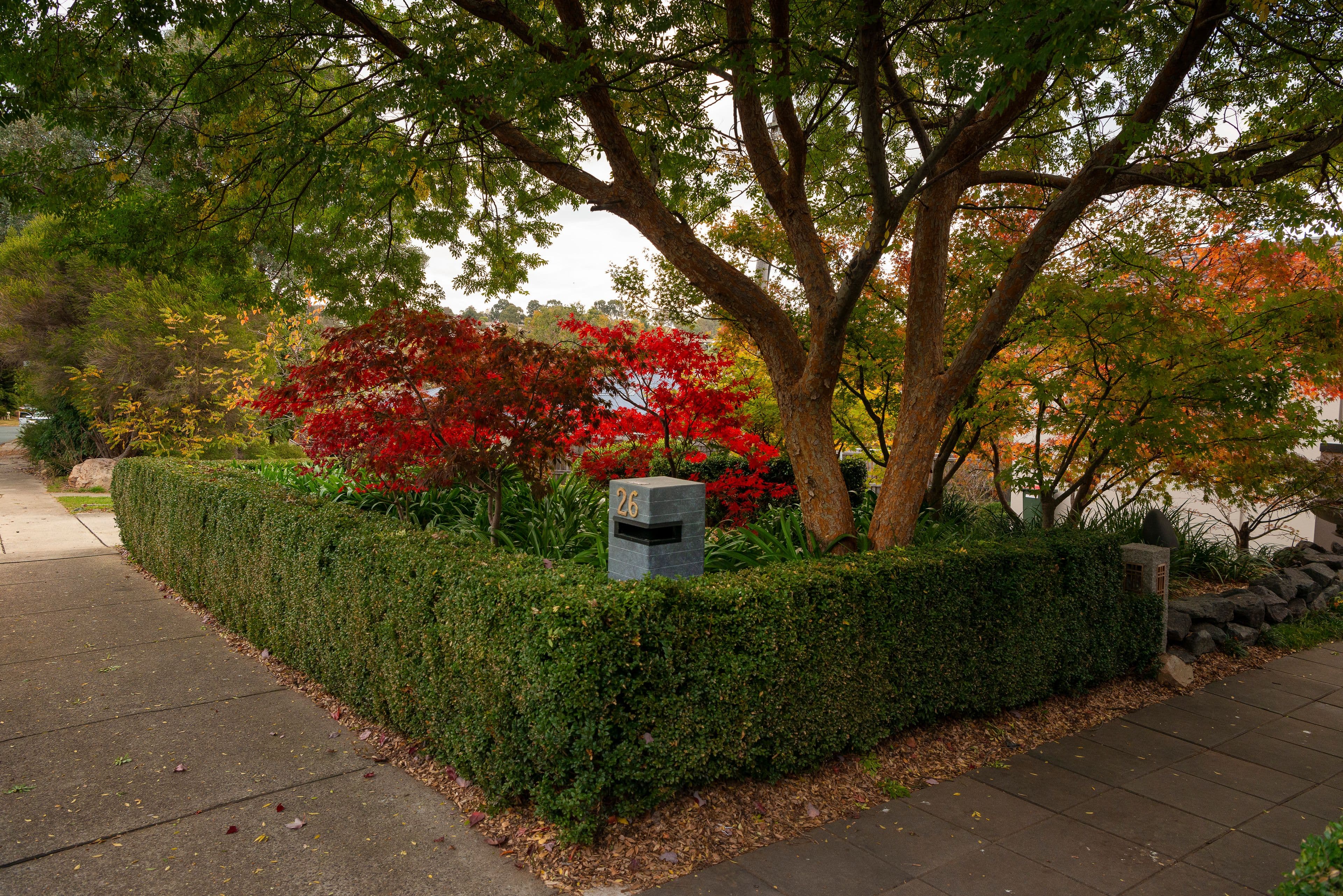 26 Spafford Crescent, Farrer ACT 2607, Farrer - Thumbnail 2