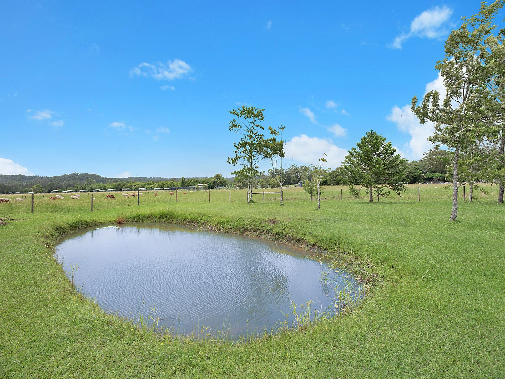 111 Eudlo Flats Road, Diddillibah QLD 4559, Diddillibah - Thumbnail 3