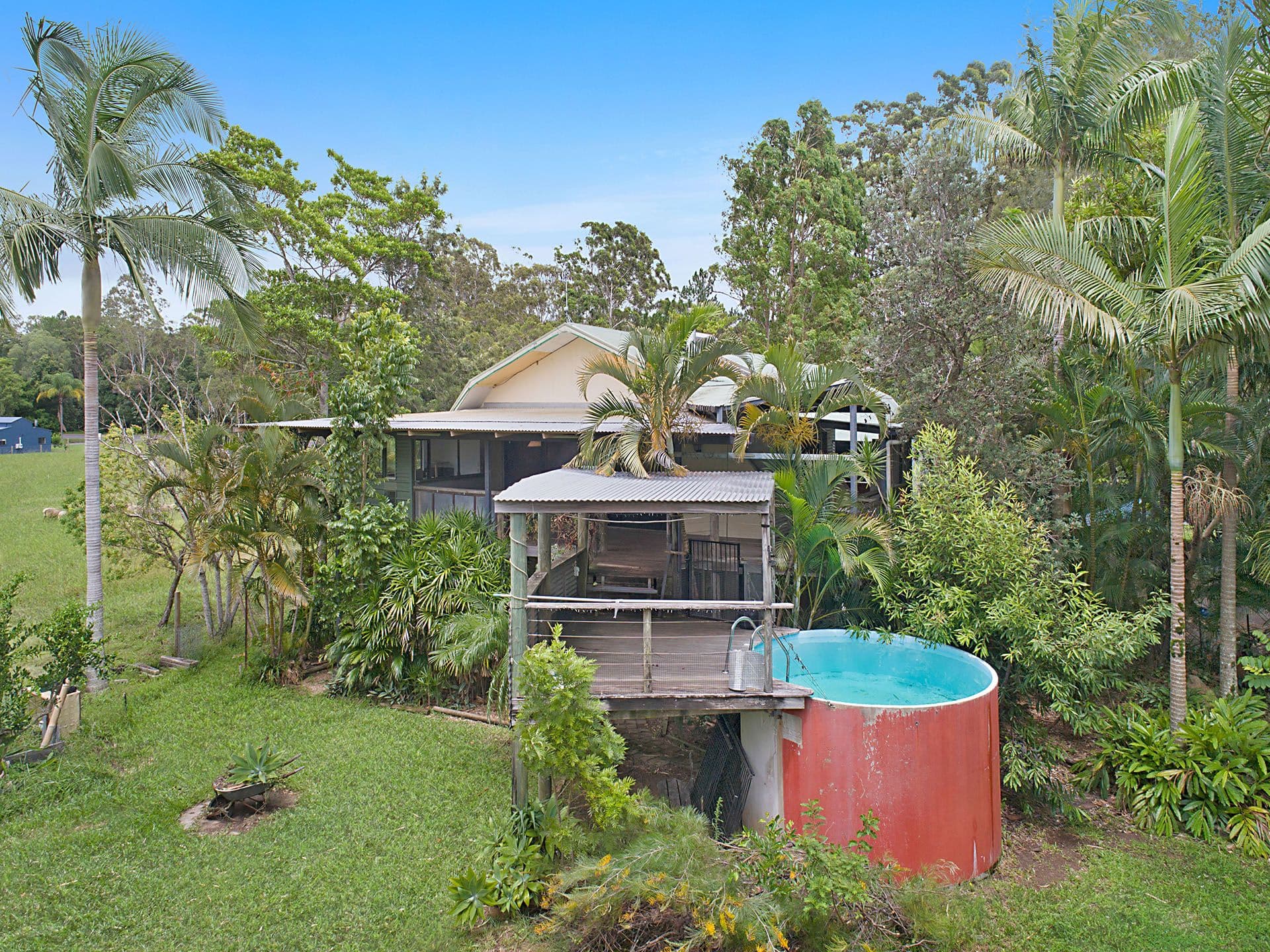 111 Eudlo Flats Road, Diddillibah QLD 4559, Diddillibah - Thumbnail 4