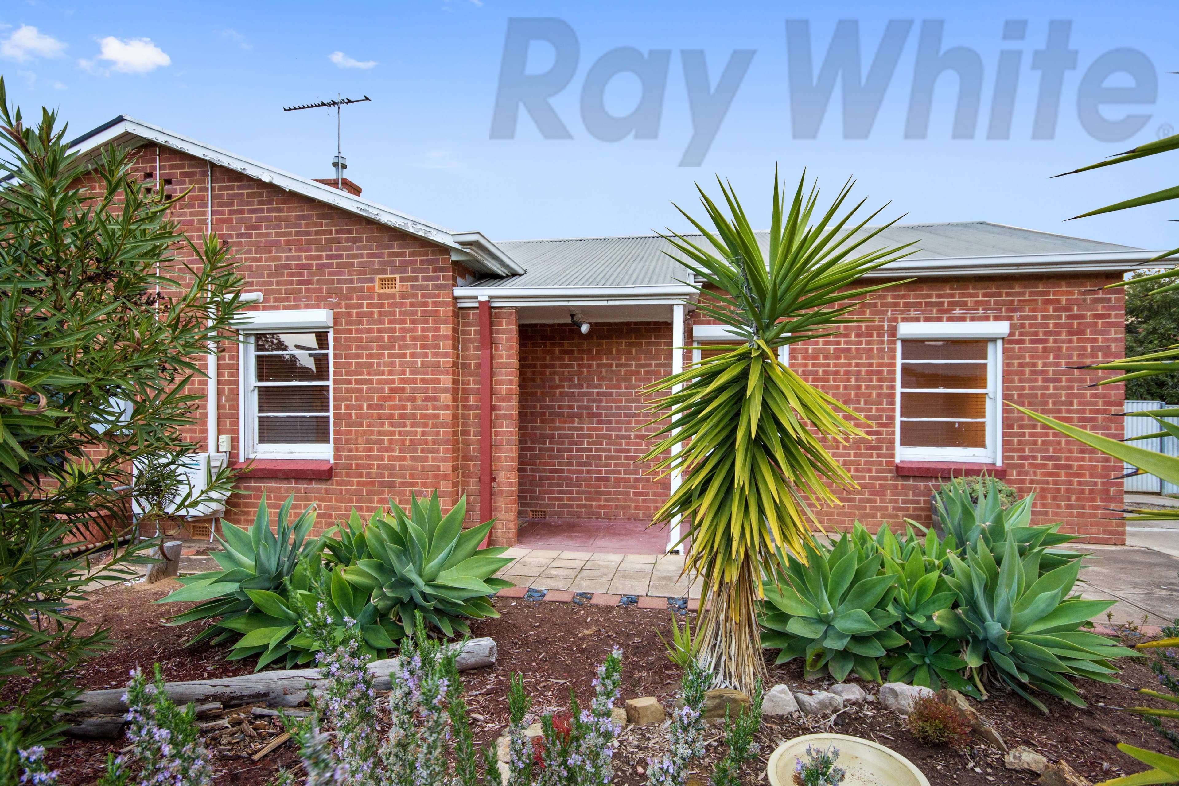 83 Pedlar Street, Seaton SA 5023, Seaton - Thumbnail 2
