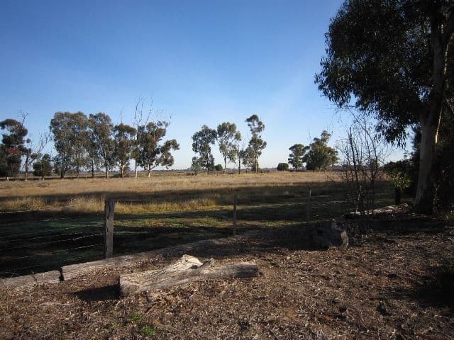 924 Muller Road, ECHUCA VIC 3564, Echuca West - Thumbnail 3