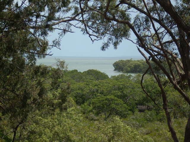 153-155 CANAIPA POINT Drive, Russell Island QLD 4184, Russell Island - Image 1