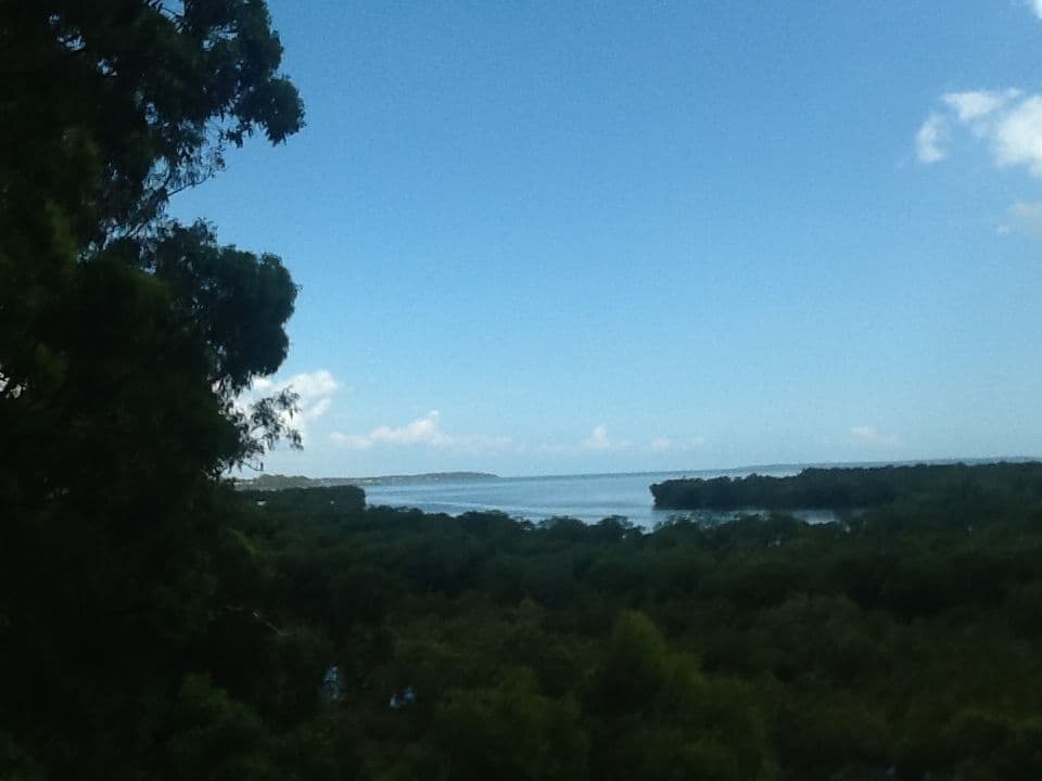 153-155 CANAIPA POINT Drive, Russell Island QLD 4184, Russell Island - Thumbnail 2