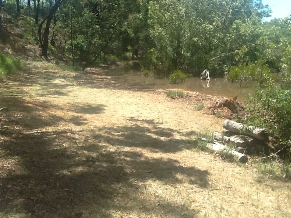 153-155 CANAIPA POINT Drive, Russell Island QLD 4184, Russell Island - Thumbnail 3
