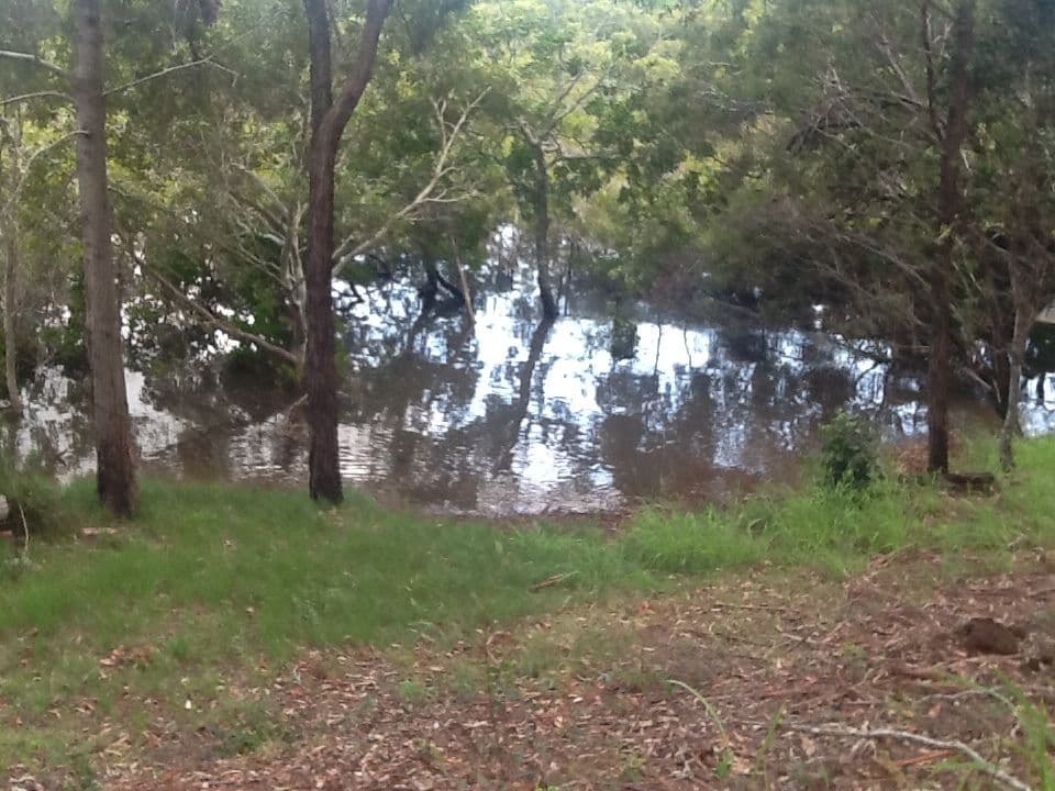 153-155 CANAIPA POINT Drive, Russell Island QLD 4184, Russell Island - Thumbnail 5