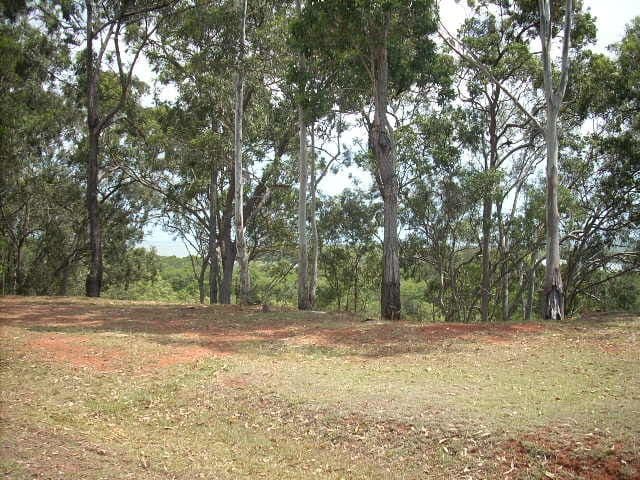 153-155 CANAIPA POINT Drive, Russell Island QLD 4184, Russell Island - Thumbnail 8