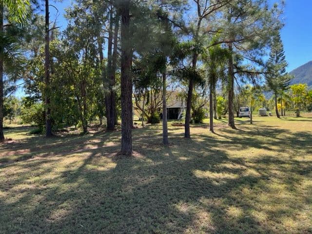1 Haberecht Road, Majors Creek QLD 4816, Majors Creek - Thumbnail 2