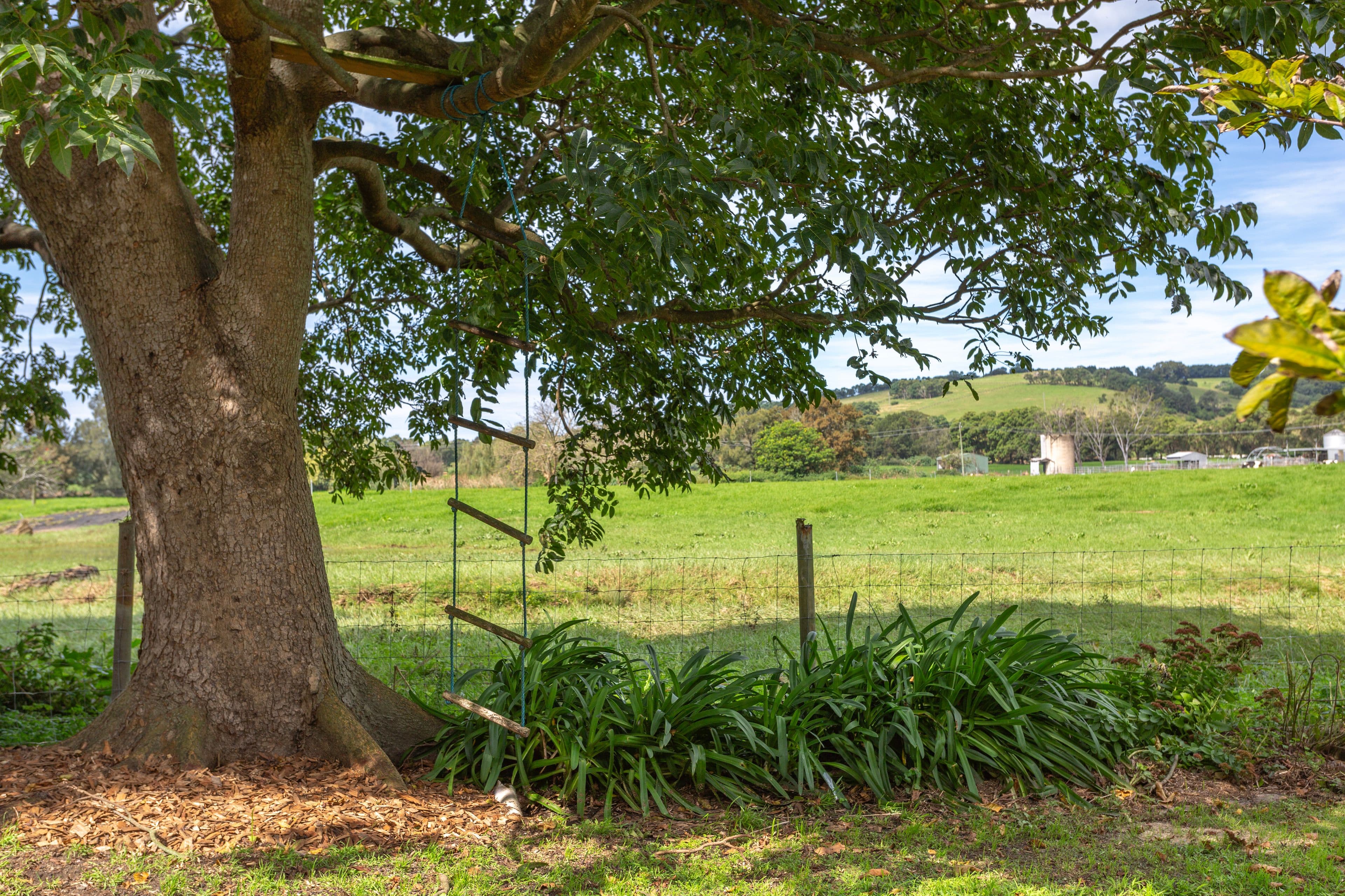 26 Factory Lane, Jamberoo NSW 2533, Jamberoo - Thumbnail 8