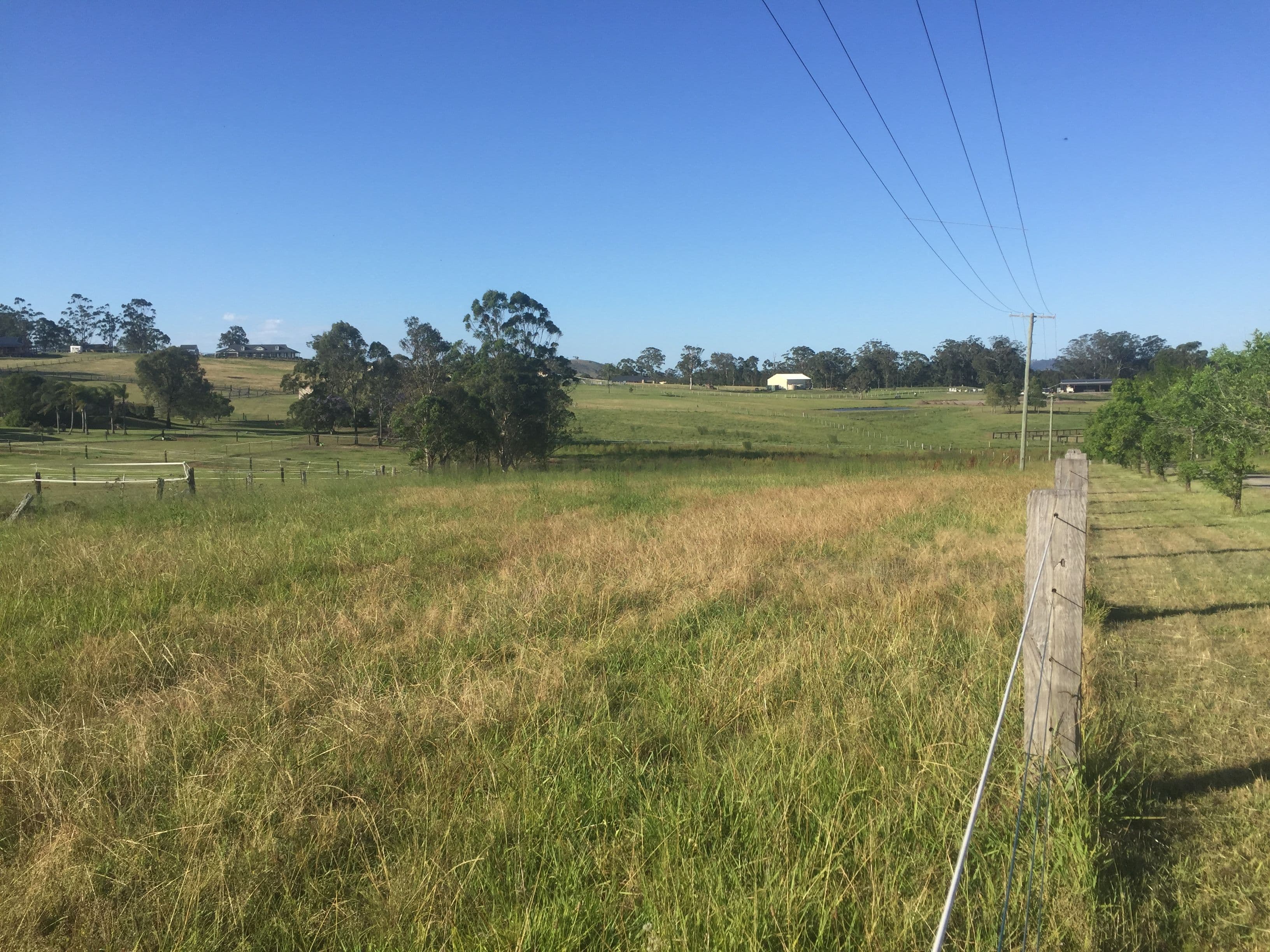 Lot 31 DP1220729 Williams River Close, Clarence Town NSW 2321, Clarence Town - Thumbnail 2