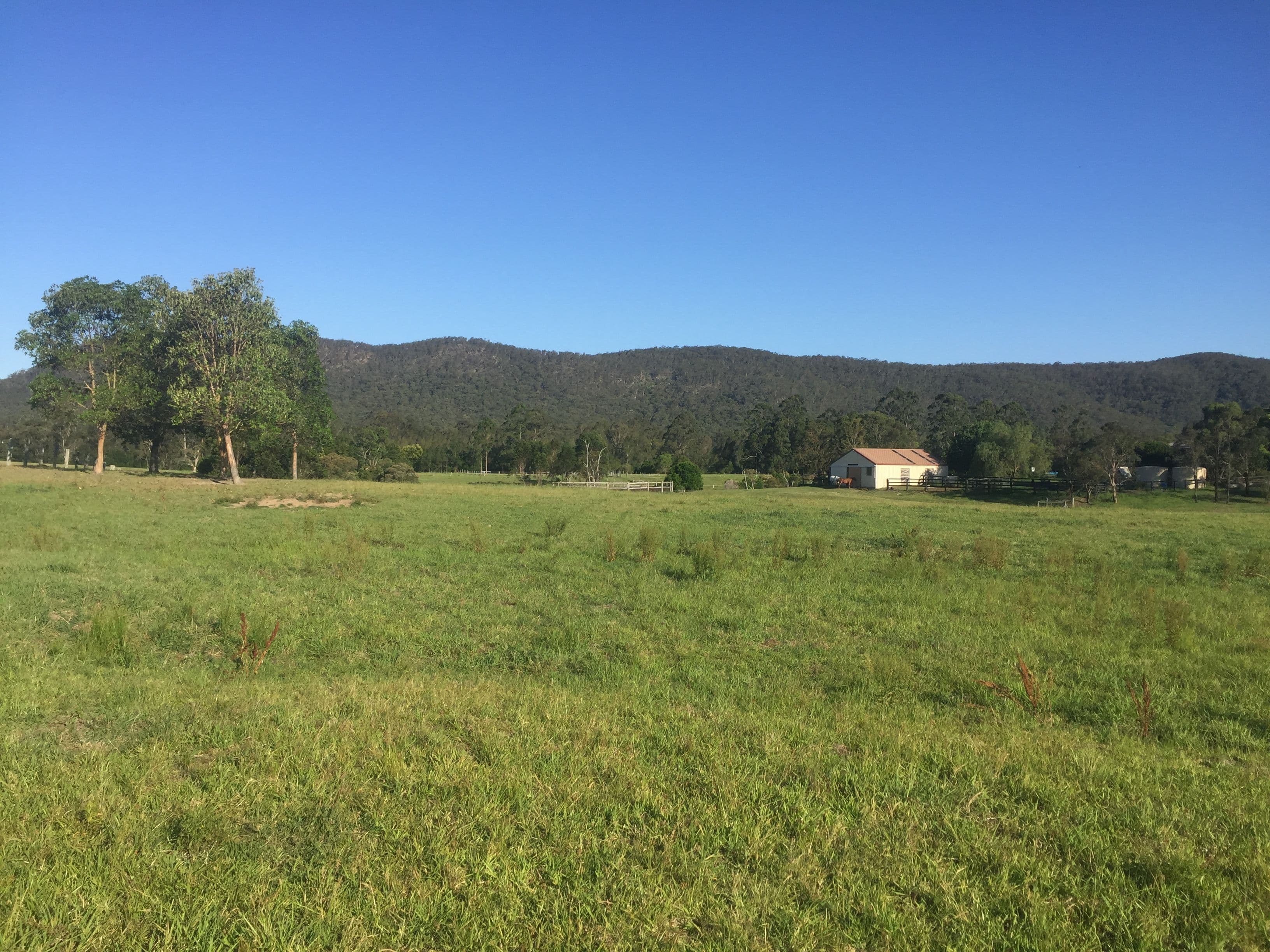 Lot 31 DP1220729 Williams River Close, Clarence Town NSW 2321, Clarence Town - Thumbnail 3
