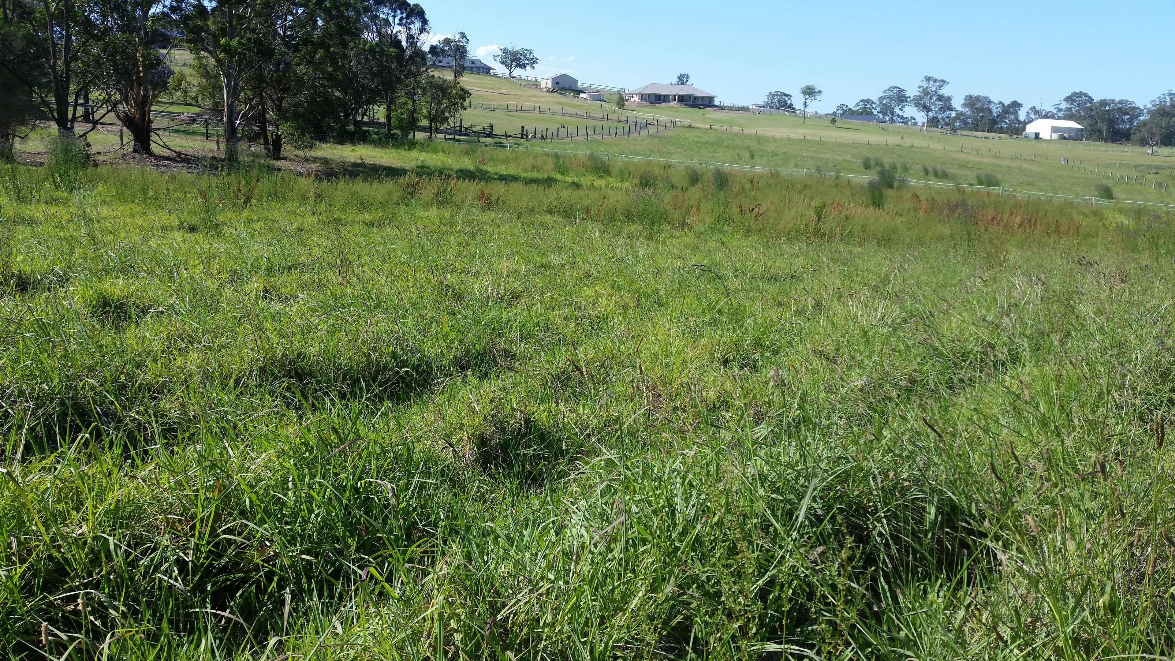 Lot 31 DP1220729 Williams River Close, Clarence Town NSW 2321, Clarence Town - Thumbnail 4