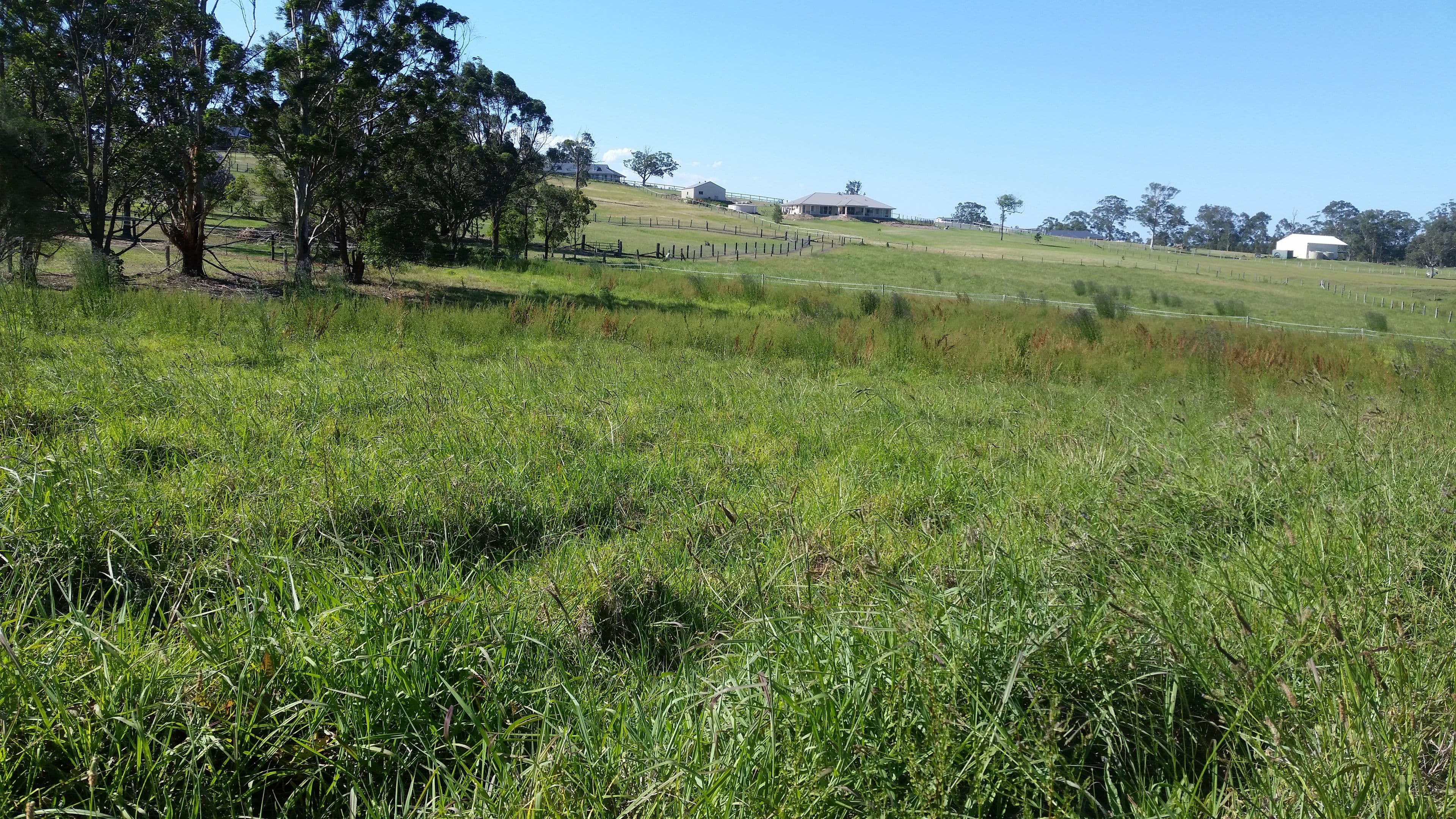 Lot 31 DP1220729 Williams River Close, Clarence Town NSW 2321, Clarence Town - Thumbnail 5